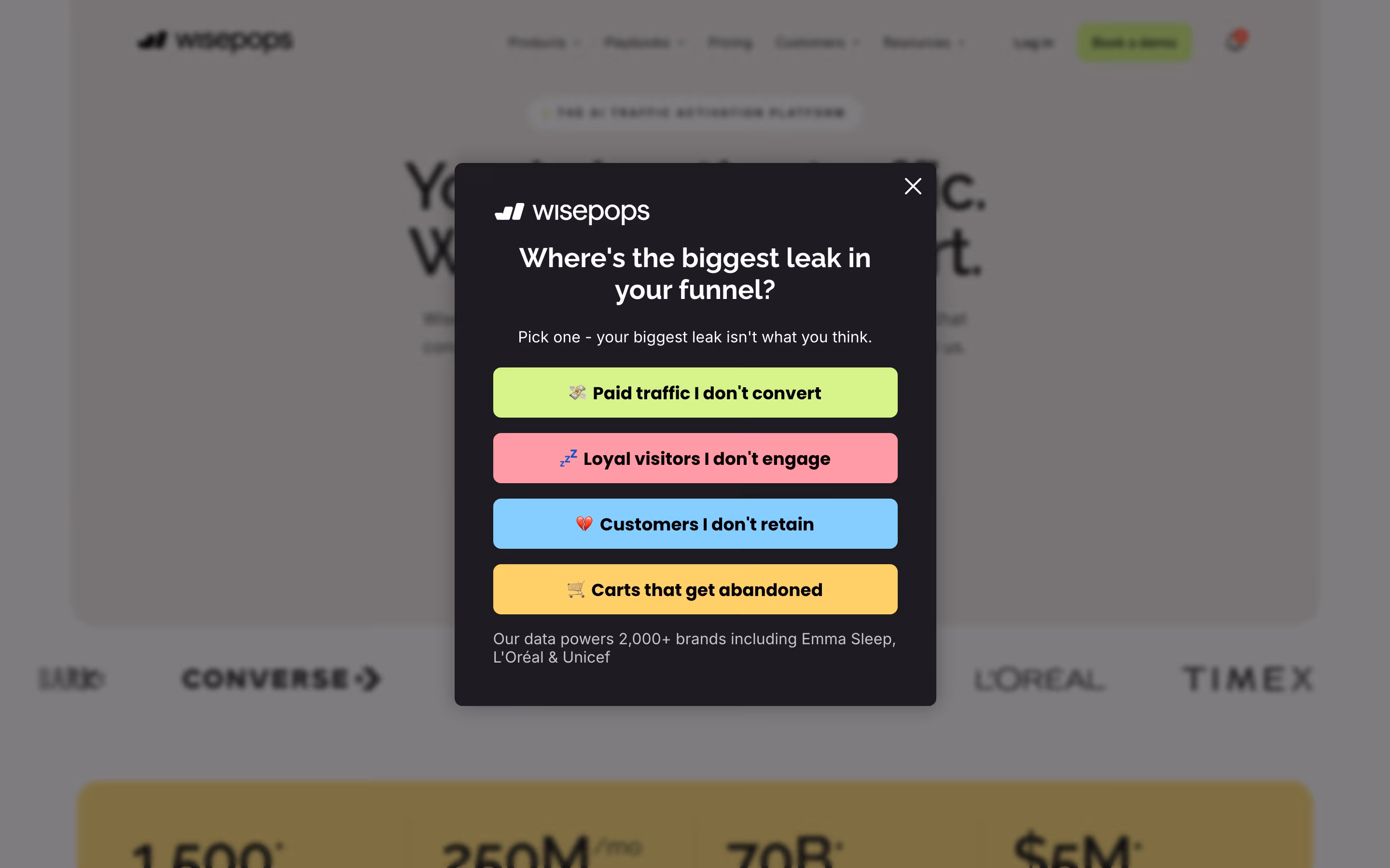 Wisepops hero design — Marketing
