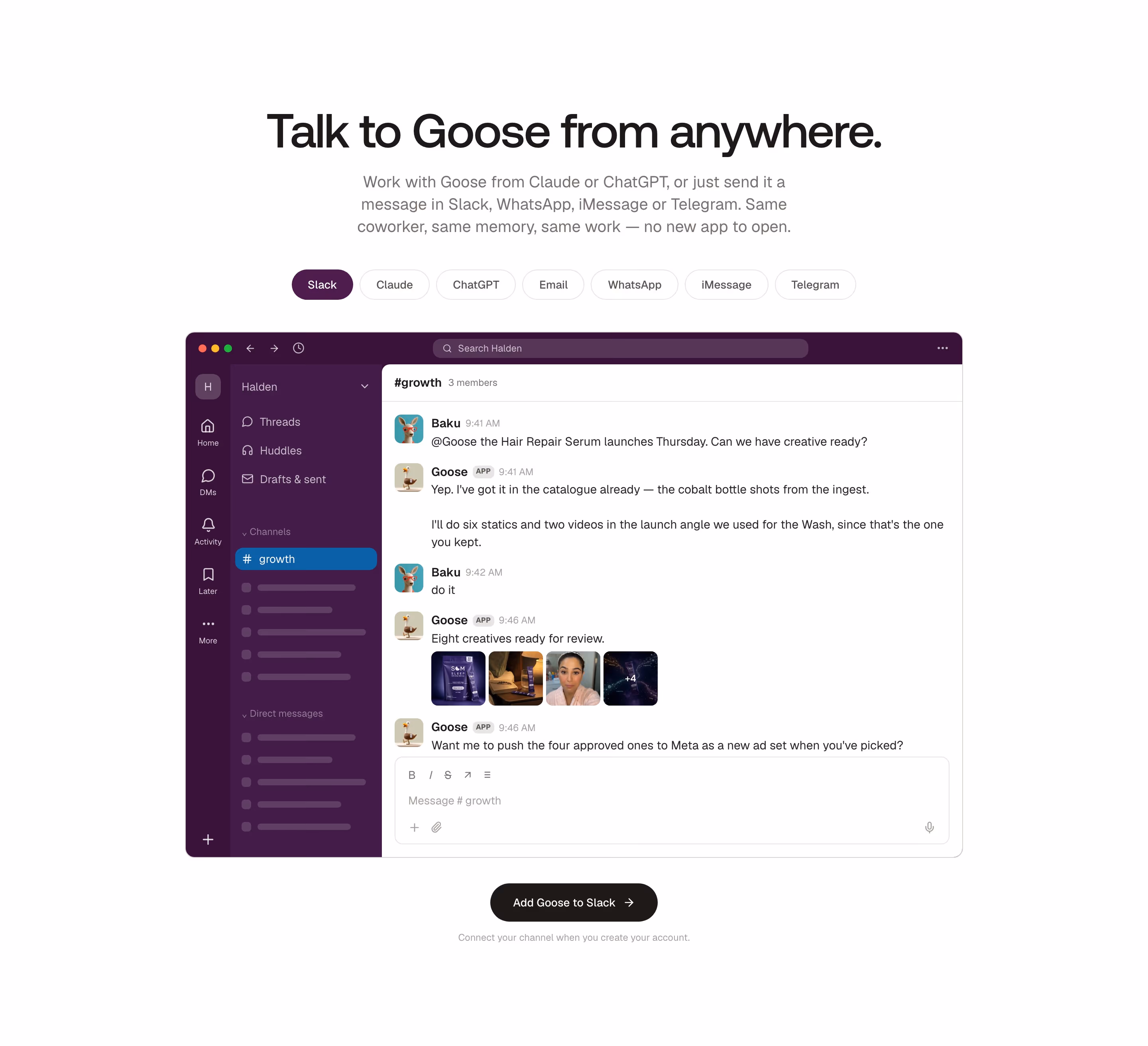 Gooseworks Features section design