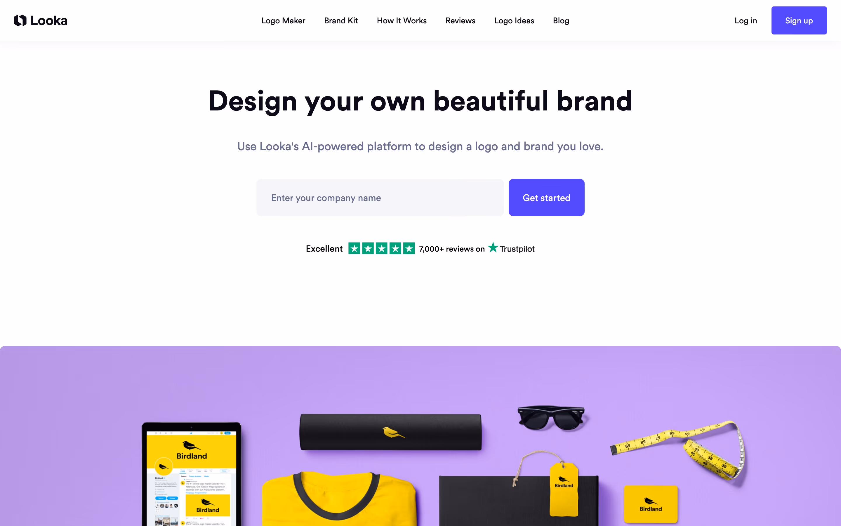Looka Heroes section design