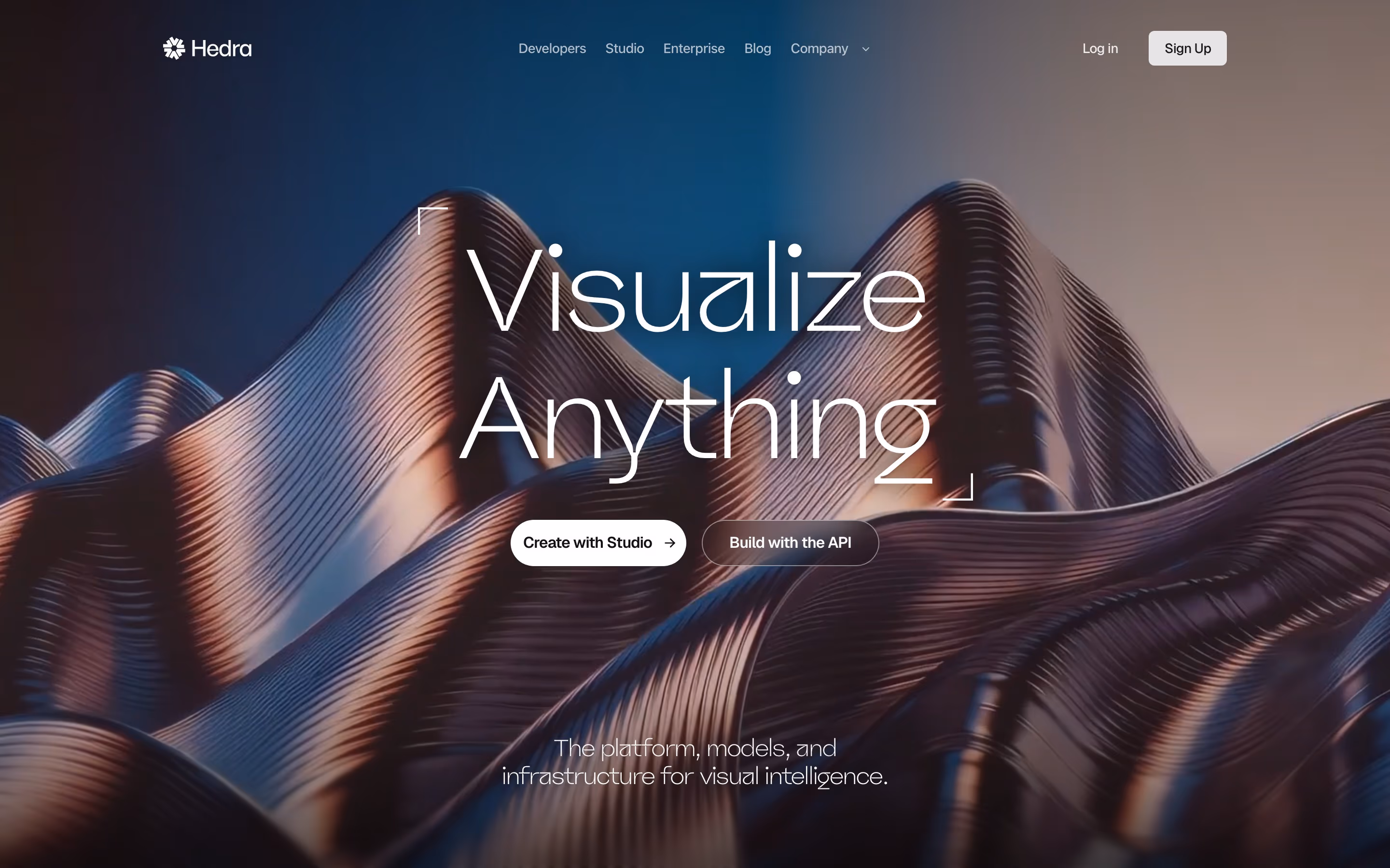 Hedra hero — Design & Creative