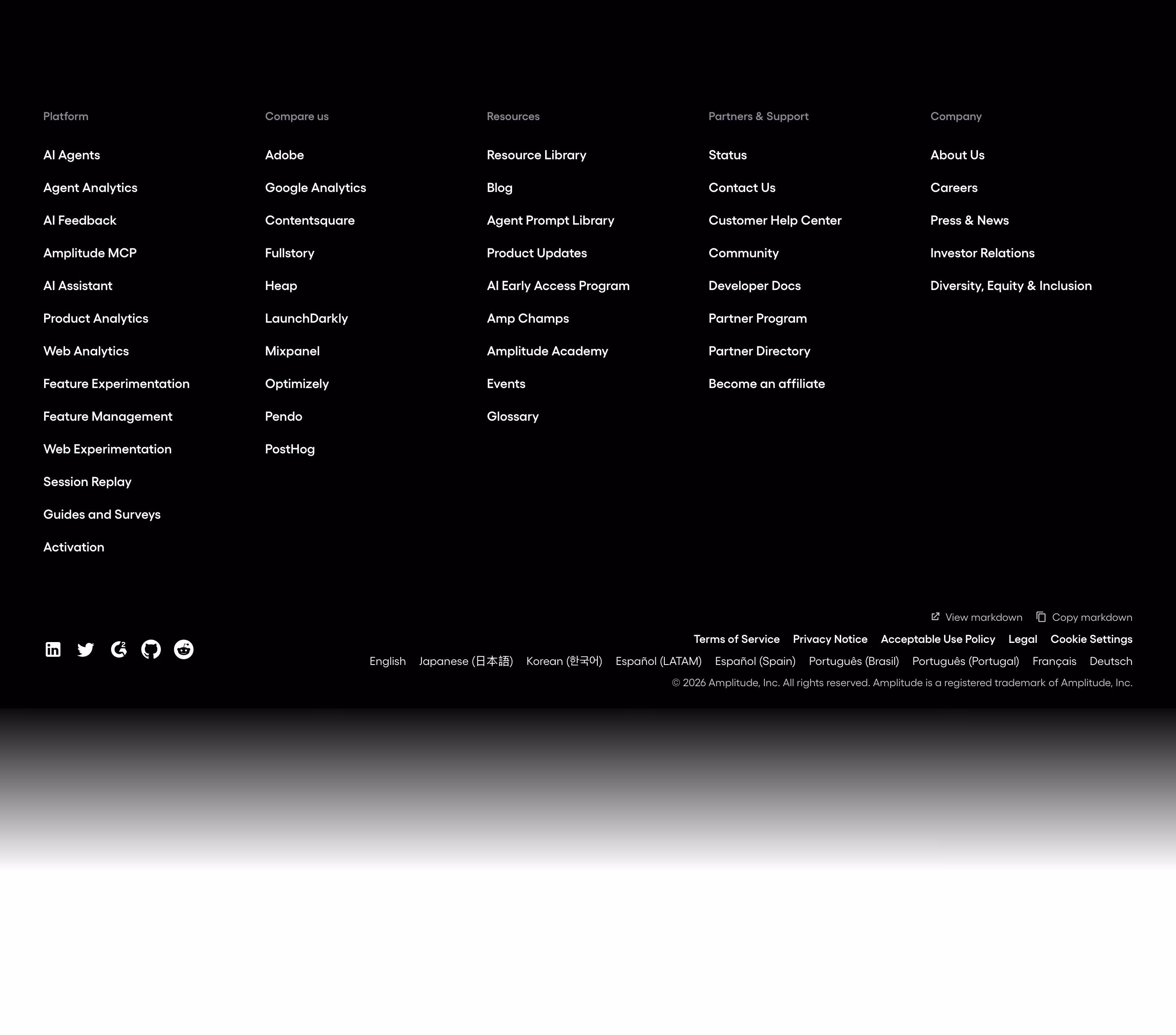 Amplitude footer design — Data & Analytics